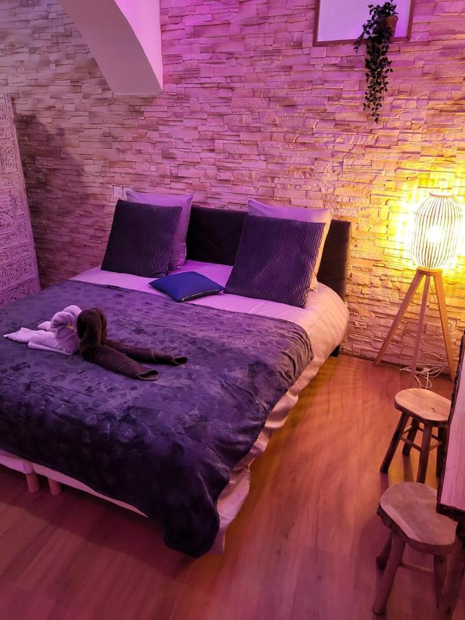 Le Spa De La Cathedrale - Jacuzzi - Sauna - Champagne - Netflix - Wifi Труа Экстерьер фото